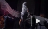 Новые кадры фэнтезийной ролевой игры Hogwarts Legacy показали на презентации Autodesk