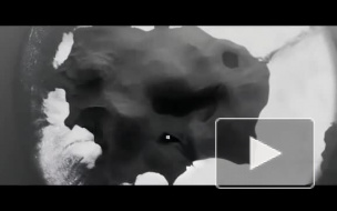 Microsoft представила второе поколение фирменных планшетов Surface