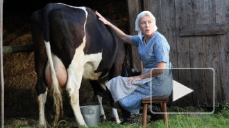 "Уходящая натура": на съемках 5, 6 серий корова отхлестала Марию Шукшину хвостом по лицу