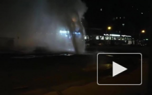 Ночью на Пулковской улице прорвало трубу с кипятком