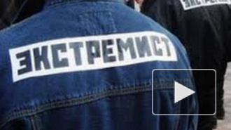 Прокуратура Петербурга: в городе нет профилактики экстремизма среди молодежи