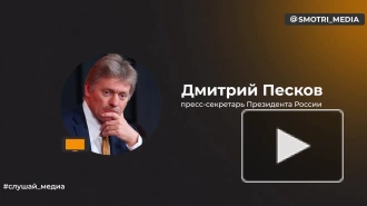 Песков: меры по защите от дронов позволяют обеспечивать безопасность Москвы