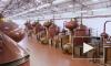 В России возобновят производство коньяка 40-летней выдержки