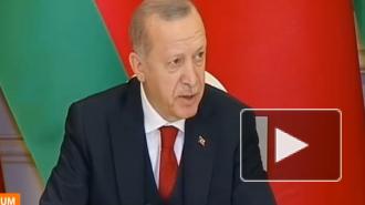 Эрдоган заявил, что Макрон не научился политике