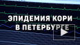 Главный санитарный врач Петербурга сообщил о росте ...