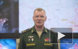 Минобороны: российские войска поразили два украинских склада артиллерии возле Запорожья