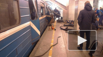 Похороны жертв теракта оплатят предприниматели и похоронные бюро Петербурга