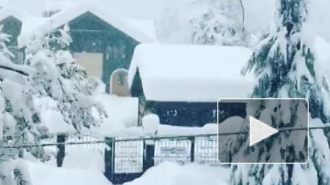Снегопад в Красной Поляне побил все рекорды (видео)