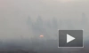 В Тольятти ввели режим ЧС из-за лесного пожара