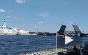 Путин примет Главный военно-морской парад в акватории Невы 