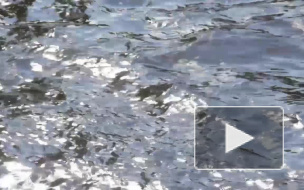 В Петербурге запрещают выходить на лёд с 15 декабря