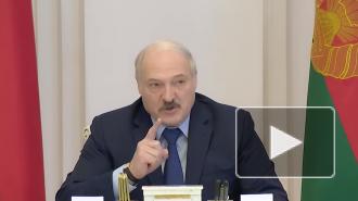 Лукашенко обвинил Польшу в попытках героизации военных преступников