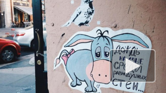 Послания петербуржцев со стен: о чем пытаются сказать местные философы