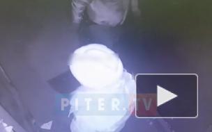 Видео: освобождение детей-заложников в Колпино