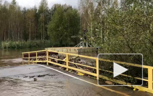 В Ленинградской области река Сестра затопила 4 садоводства