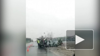 В сети появилось жуткое видео последствий смертельной аварии под Брянском