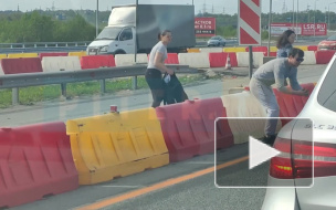 Видео: петербуржцы с помощью куртки ловили утят на КАД