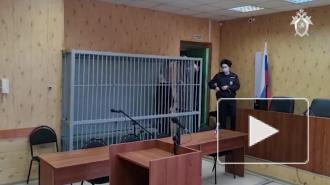 Перед судом предстал обвиняемый в совершении серии убийств и изнасилований женщин в Тулуне