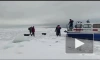 На Финском заливе с отколовшейся льдины спасли 10 рыбаков