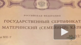 В Петербурге трое мигрантов организовывали фиктивные браки за 200 тыс. рублей