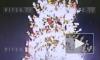 Видео: неизвестный залез на елку на Дворцовой площади