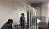 Петербургского блогера-сыроеда приговорили к восьми годам колони