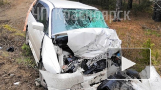 Под Красноярском в лобовом ДТП погибли 3 человека, еще 4 в больнице