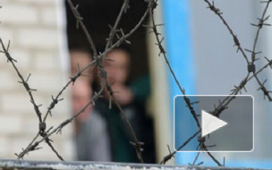 Амнистия-2015 к 70-летию Победы: кого освободят