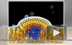 Ученые показали на видео, как вирус ВИЧ убивает клетки человека
