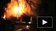В Петербурге вместо елки зажгли полицейский автозак