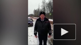 Появилось видео с места ДТП в Кингисеппском районе: "ВАЗ" сбил троих пешеходов