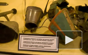 В учениях американского ВМФ в Черном море примут участие боевые дельфины