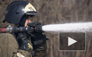 В Подмосковье после ДТП сгорели три грузовика и фургон, один человек погиб, дорогу перекрывали