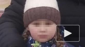 Пропавшую в Нижегородской области девятилетнюю девочку нашли мертвой