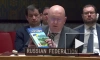 Небензя спросил постпреда Франции в СБ ООН, знает ли он о своем украинском происхождении