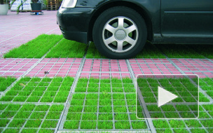 В Петербурге парковка на газонах обойдется в полмиллиона