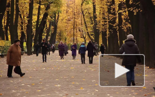 Дыхание Петербурга: самые интересные события недели 