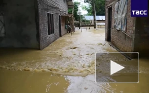 Более 4,2 млн человек пострадали от наводнения в Индии 
