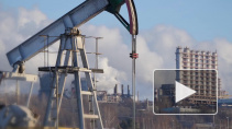 Эксперт Forbes оценил шансы РФ справиться с нефтяным кризисом