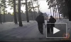 В Красноярском крае сотрудники ГИБДД спасли замерзающую четырехлетнюю девочку