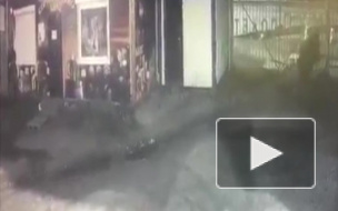 На Камчатке дикий бурый медведь пришел на рынок