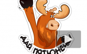 Лось может стать туристским символом Ленинградской области