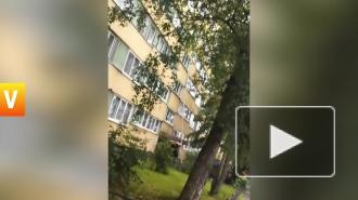 Медики госпитализировали женщину на Прокофьева 