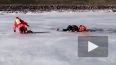 Видео: на Финском заливе спасли провалившихся под ...