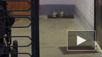 Пьяный мужчина до смерти запинал свою собутыльницу в Луге