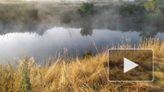 В Саратовской области водолазы нашли тело утонувшего в машине ребенка 