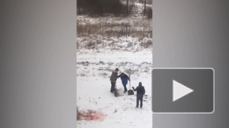 Живодер в Сельцо стрелял в собаку, а потом пытался живую выбросить её в мусоровоз