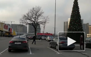 В Петербурге начали устанавливать первые новогодние ели
