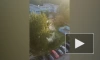 Видео: у дома №69 на проспекте Просвещения прорвало трубу