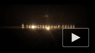 SPB.AUTO публикует отчет о поездке по маршруту СПб - Петрозаводск - СПб